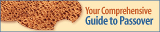 Your Comprehensive Guide to Passover