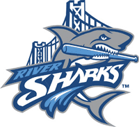 Camden_river_sharks.gif