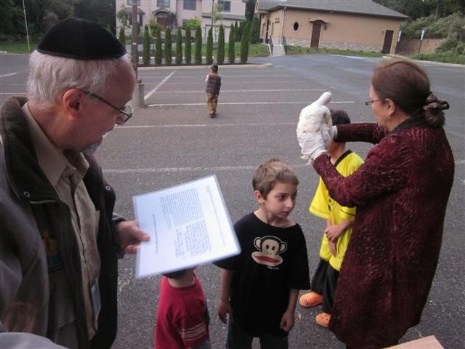 Chabad Logo Color